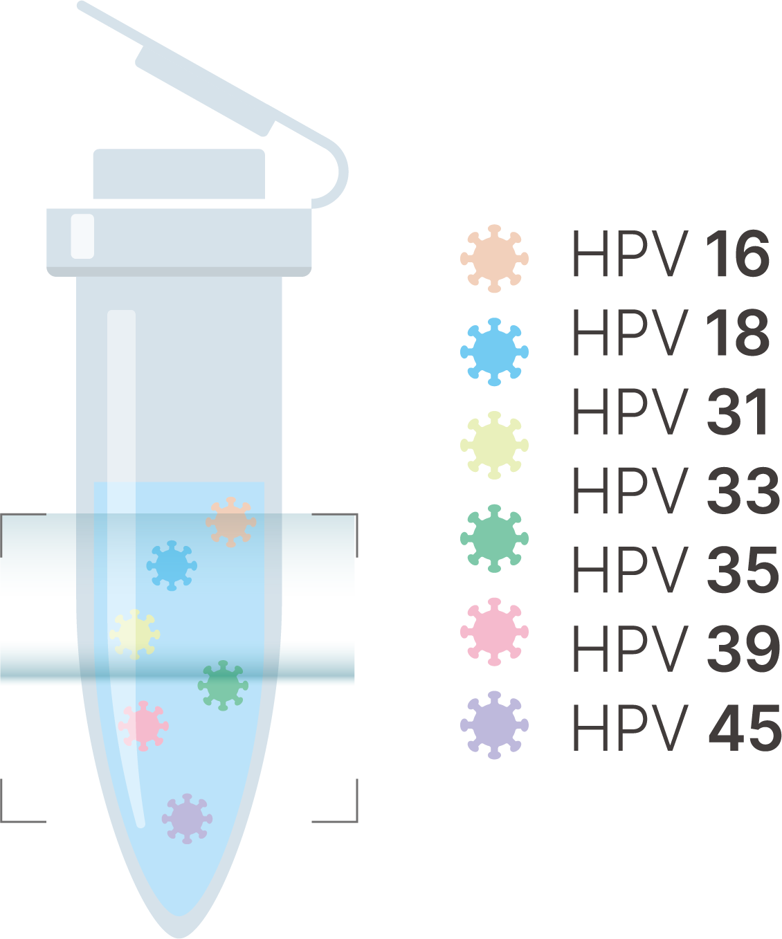 Bilde uten beskrivelse