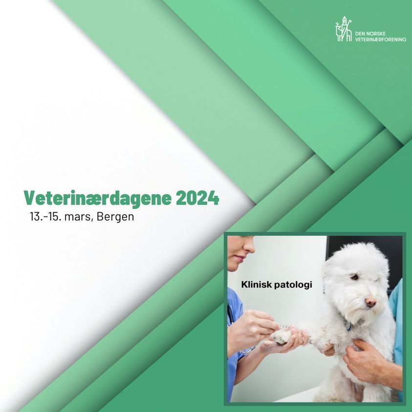 Veterinærdagene 2024 