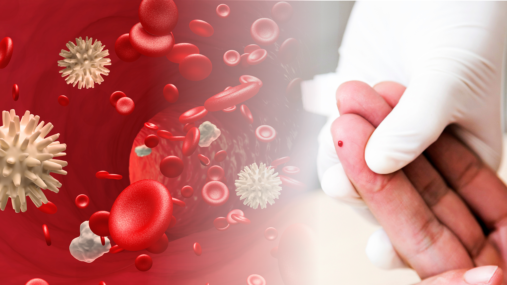 Bilde uten beskrivelse