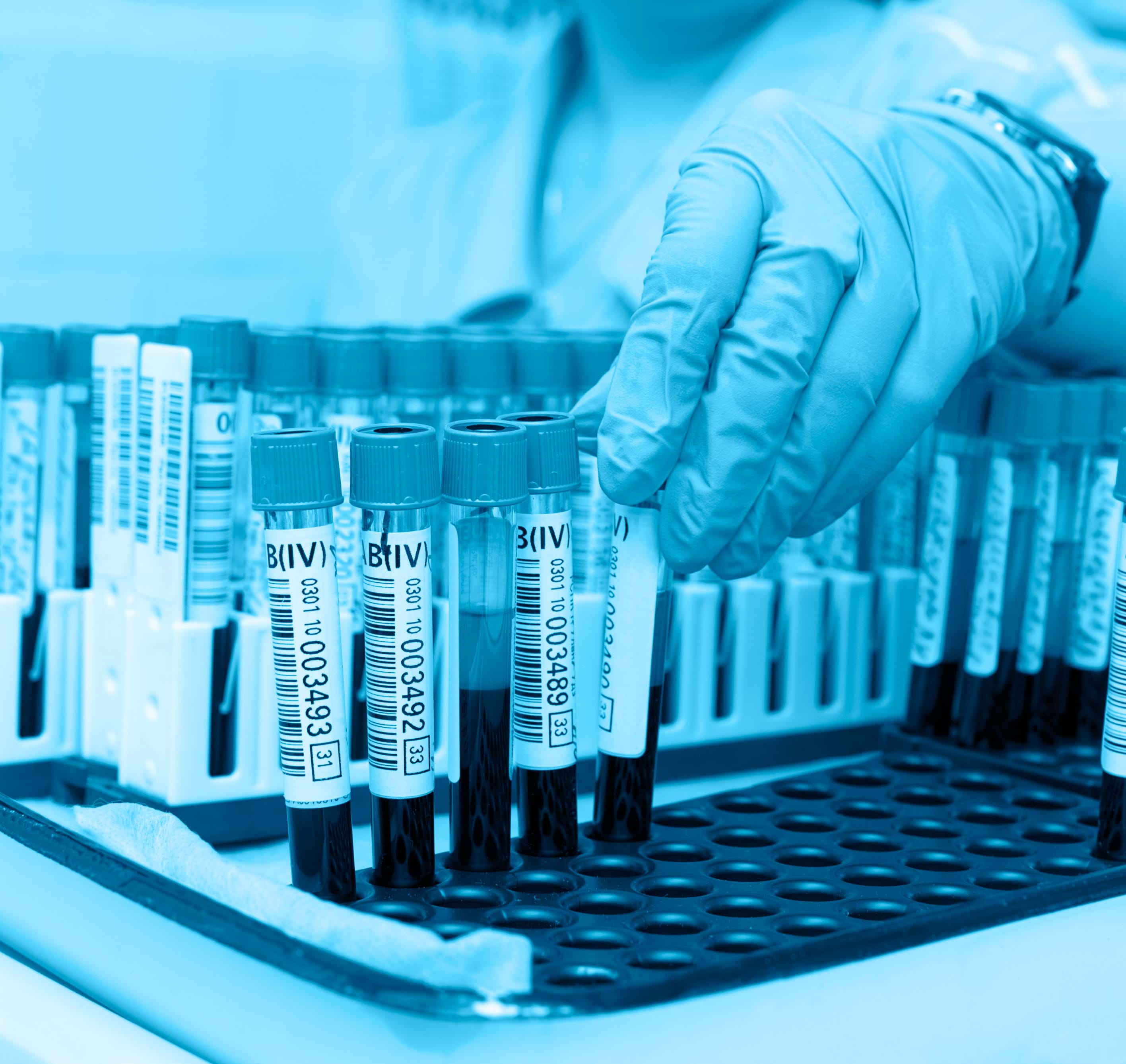 Bilde uten beskrivelse