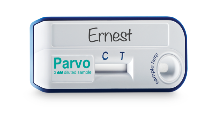 Vetscanparvorapidtest